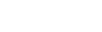 Section Logo